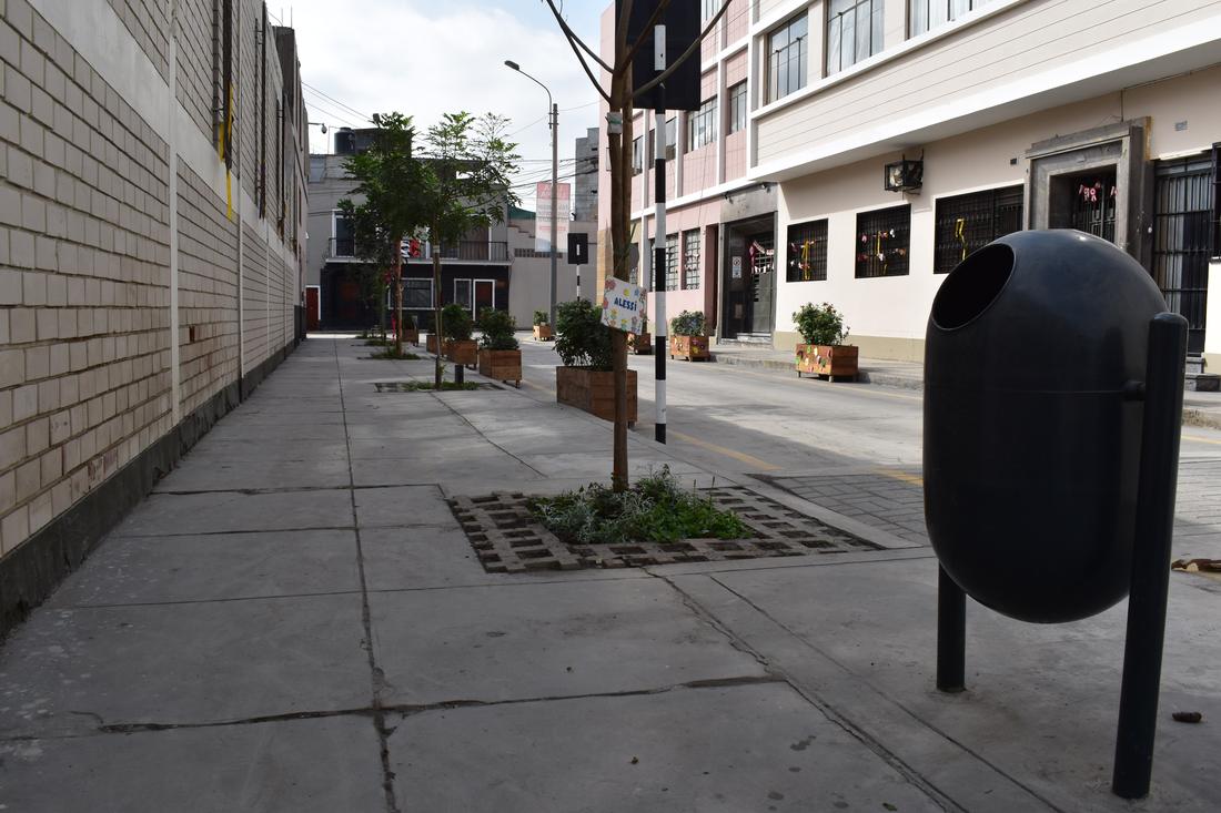A clean sidewalk with young trees and planters